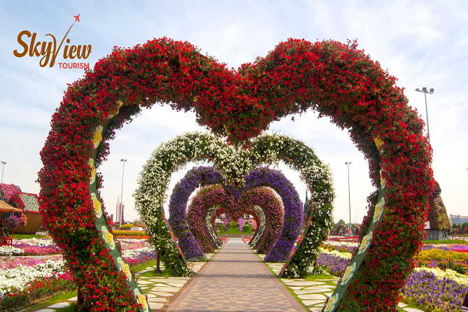 miracle-garden-dubai-1