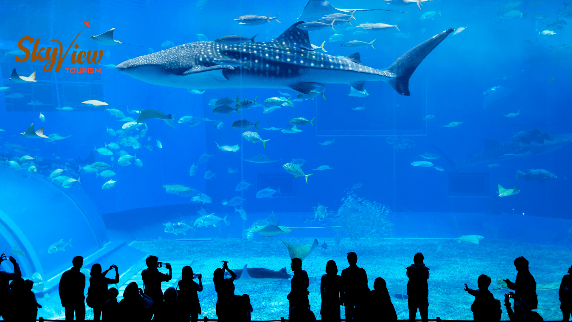 dubai_mall_aquarium